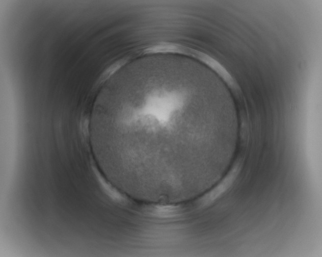 X0000114610849200910201151