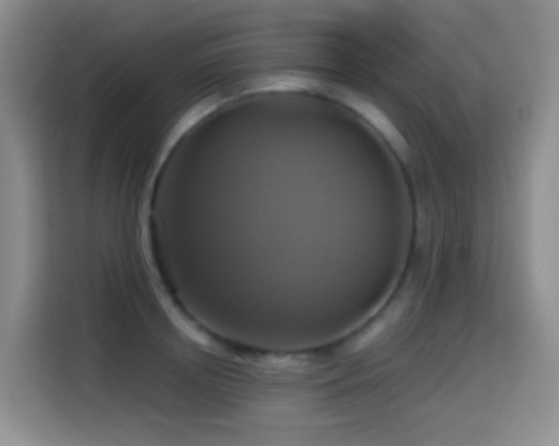 X0000114610850200910201151