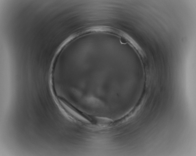 X0000114610853200910201151