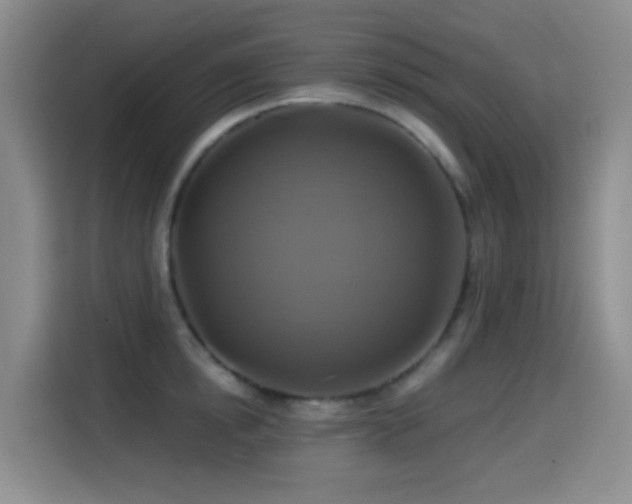 X0000114610854200910201151