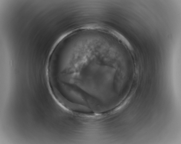 X0000114610855200910201151