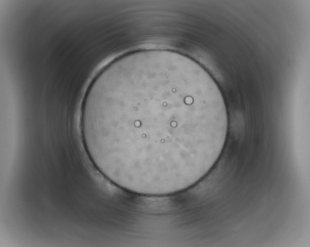 X0000114610856200910201151