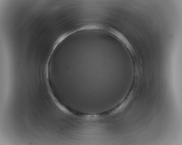 X0000114610858200910201151