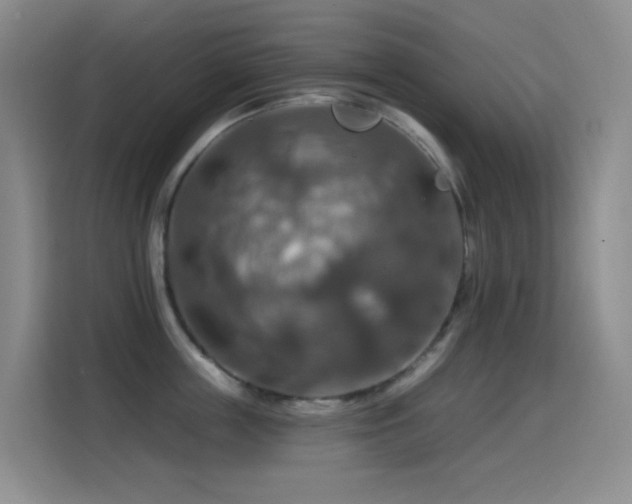 X0000114610859200910201151