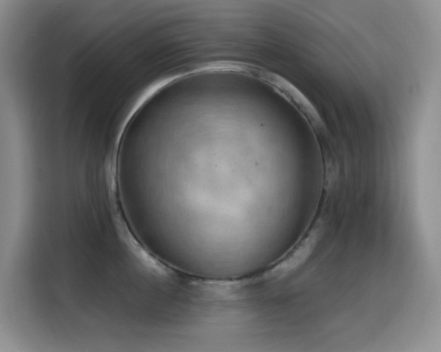 X0000114610860200910201151