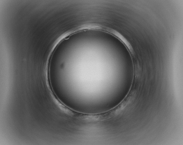 X0000114610861200910201151