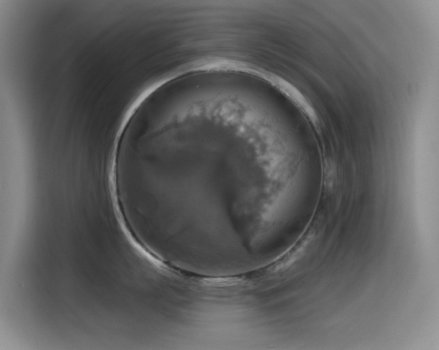 X0000114610863200910201151