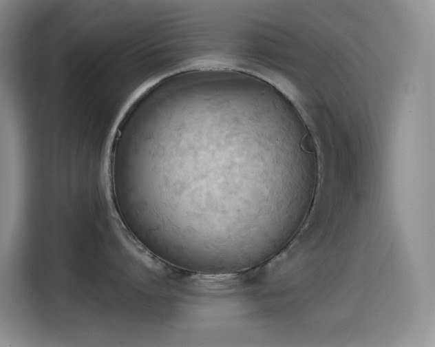 X0000114610864200910201151