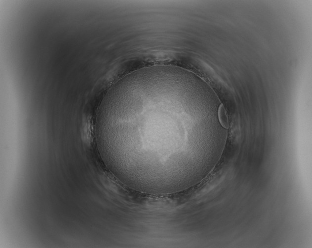 X0000114610866200910201150