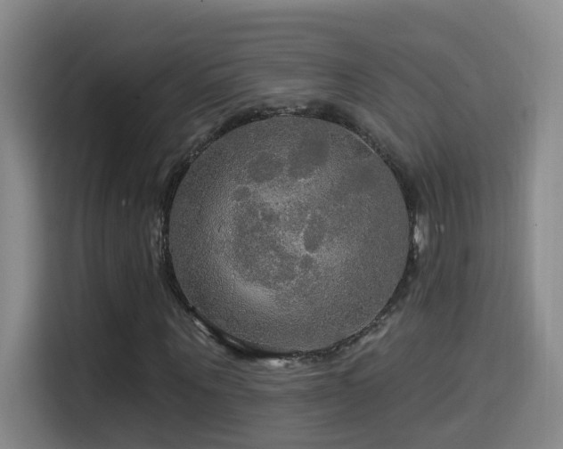 X0000114610867200910201150