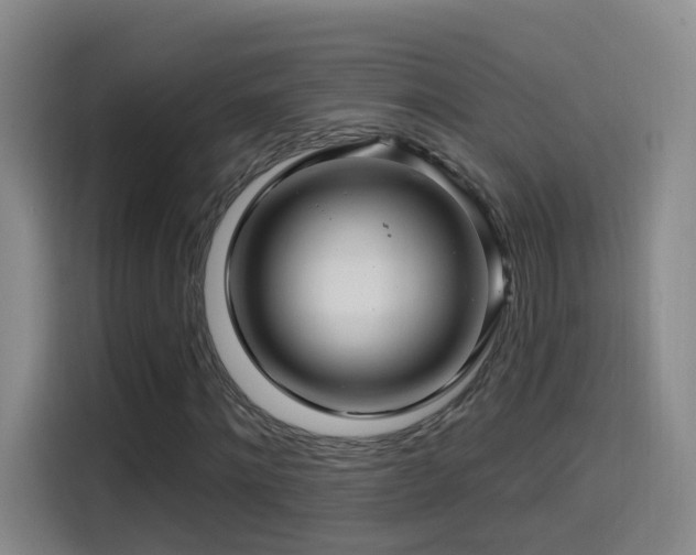 X0000114610868200910201150