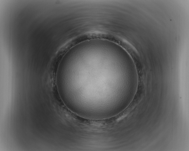 X0000114610870200910201150