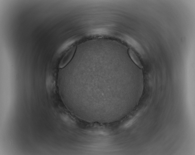 X0000114610872200910201150