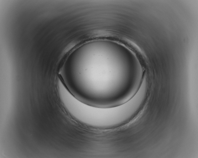 X0000114610873200910201150