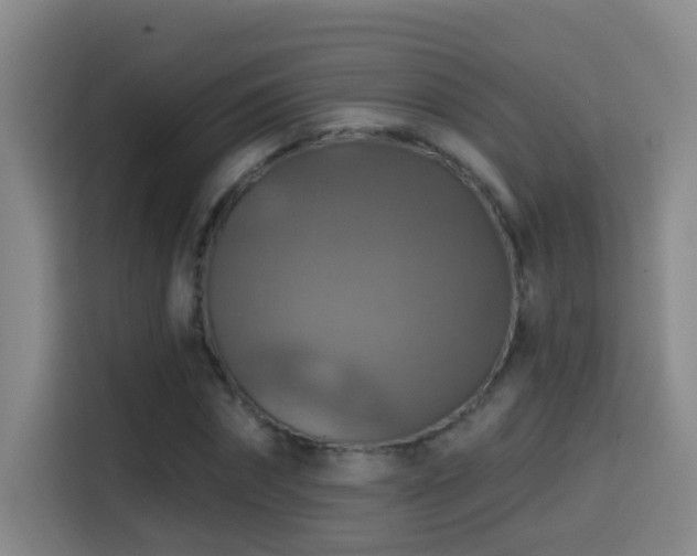 X0000114610874200910201150