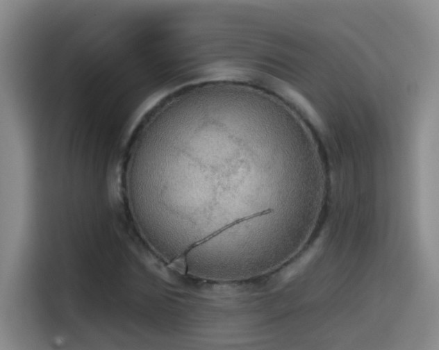 X0000114610875200910201150