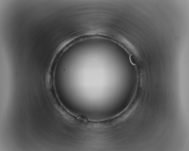 X0000114610876200910201150