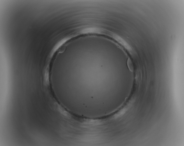 X0000114610877200910201150