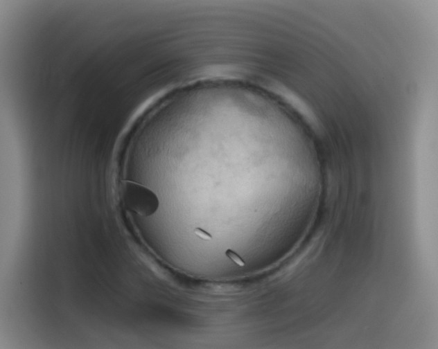 X0000114610878200910201150