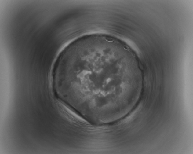 X0000114610879200910201150