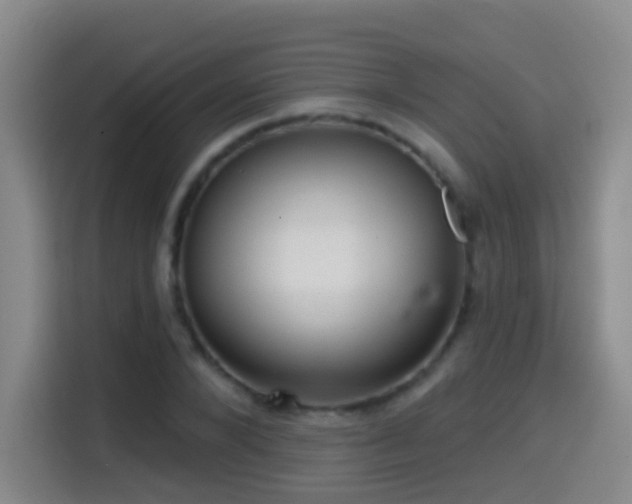 X0000114610880200910201150