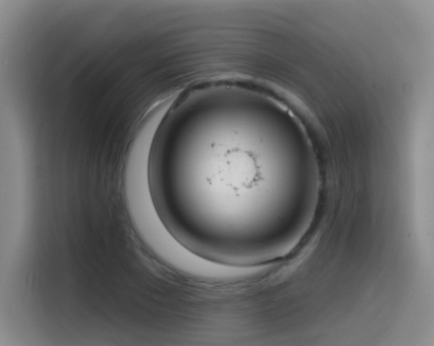 X0000114610881200910201150