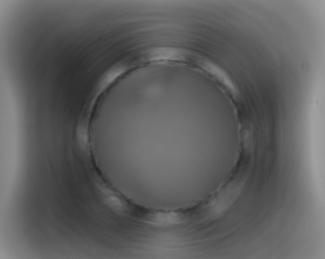 X0000114610882200910201150