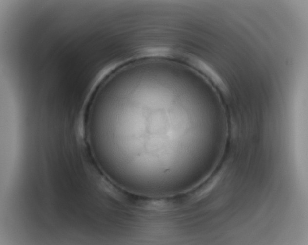 X0000114610883200910201150