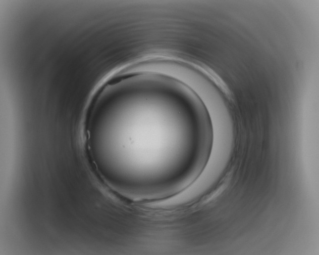 X0000114610885200910201150