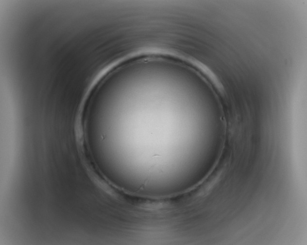 X0000114610887200910201150