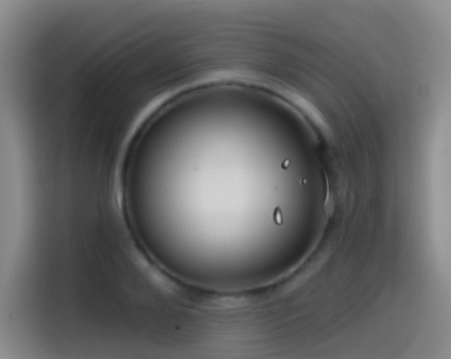 X0000114610888200910201150