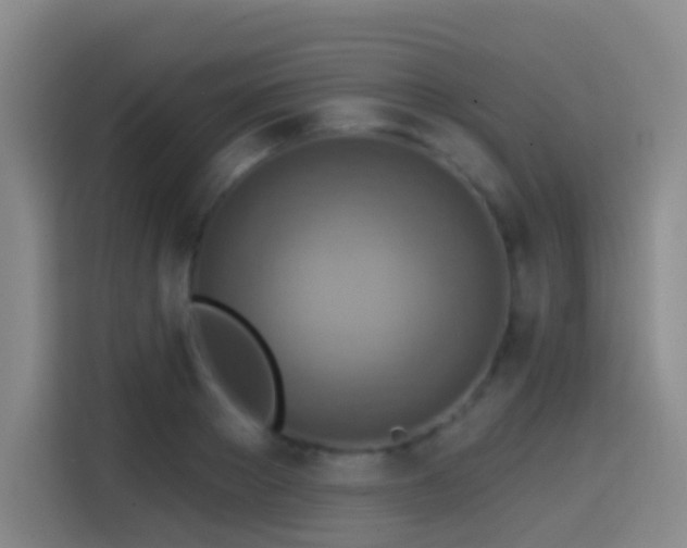 X0000114610889200910201150