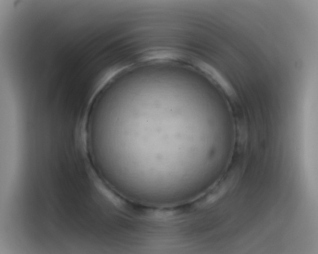 X0000114610890200910201150