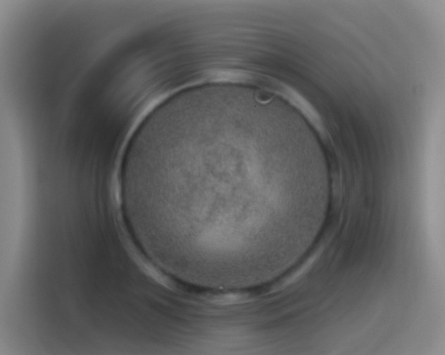 X0000114610891200910201150