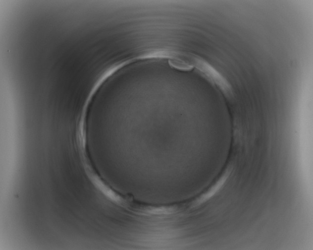 X0000114610892200910201150