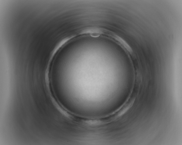 X0000114610893200910201150