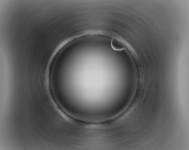 X0000114610894200910201150