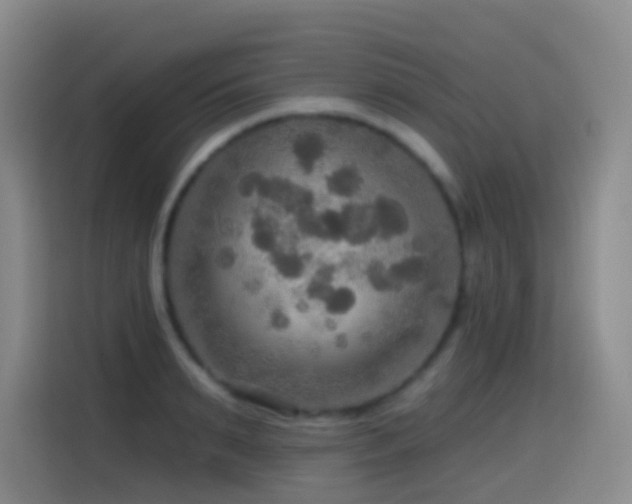 X0000114610895200910201150