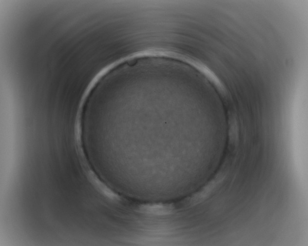 X0000114610896200910201150