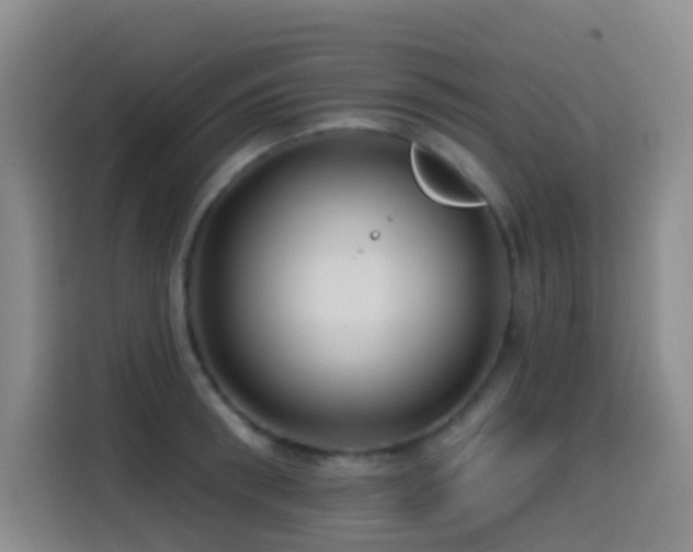 X0000114610898200910201150