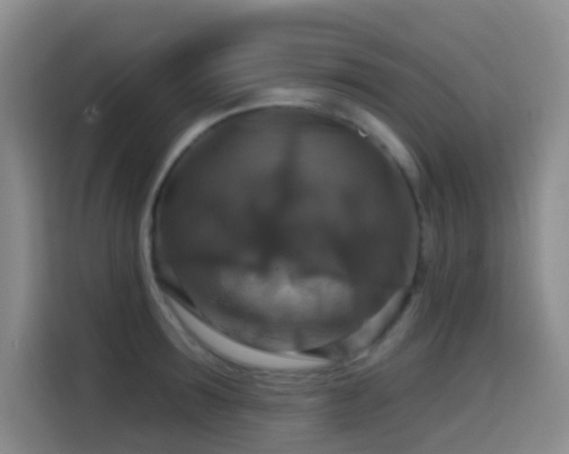 X0000114610899200910201150