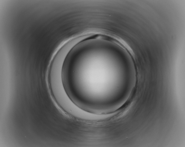 X0000114610901200910201150