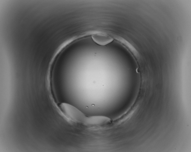 X0000114610902200910201150