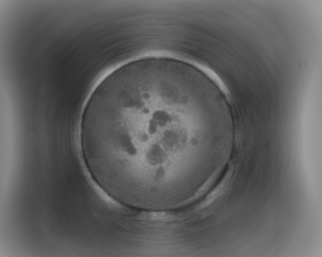 X0000114610903200910201150