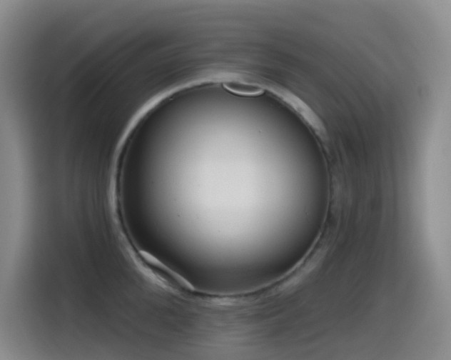 X0000114610904200910201150