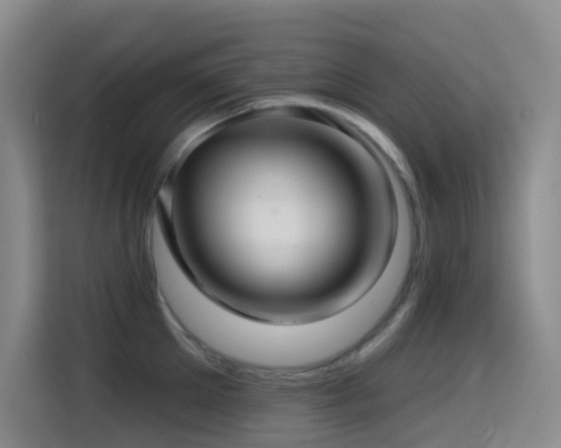 X0000114610905200910201150