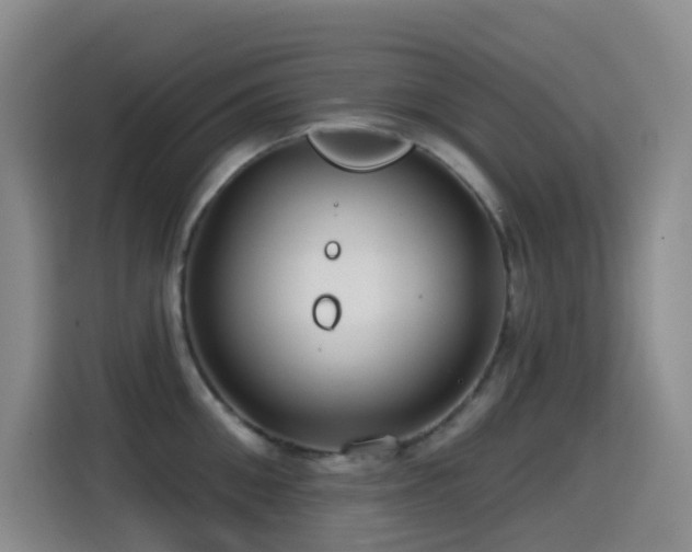 X0000114610906200910201150