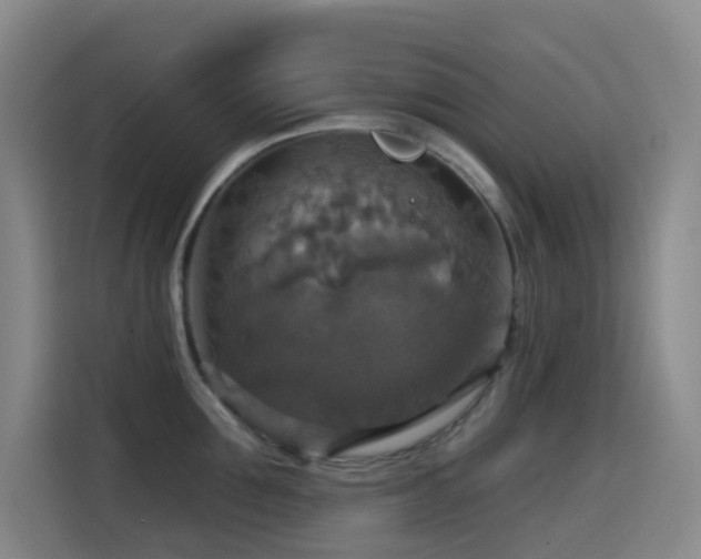 X0000114610907200910201150