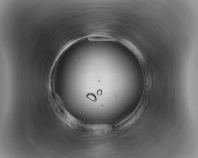 X0000114610908200910201150