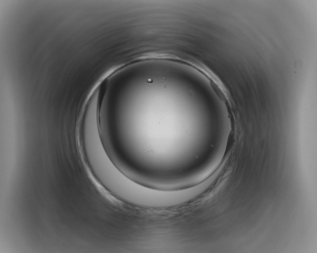 X0000114610909200910201150